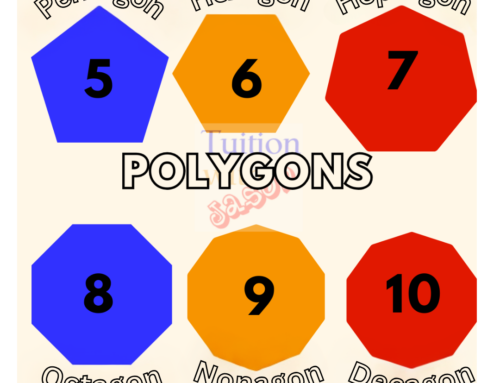 Polygons